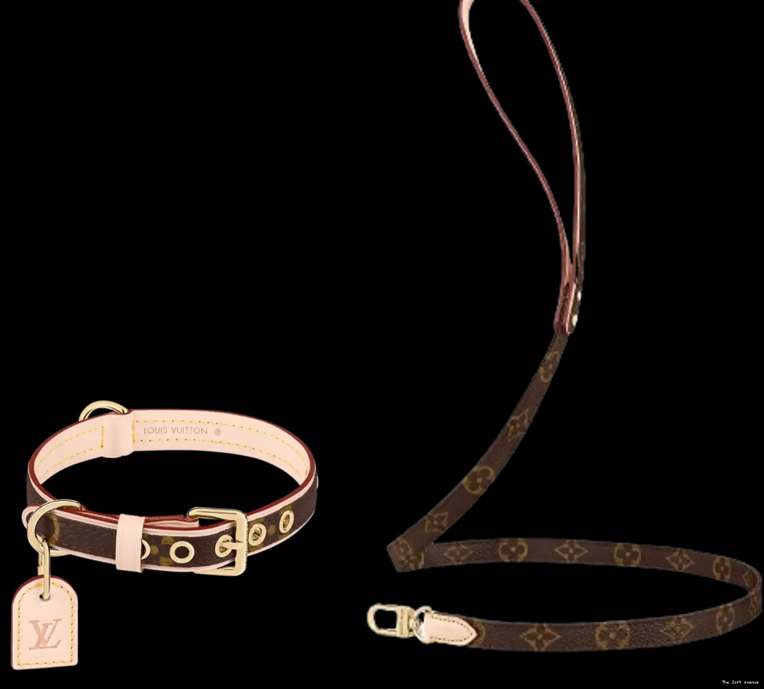 COLLAR AND LEASH DOG LV 0618